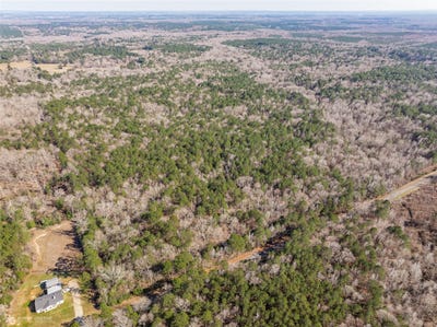 /international/us/c-2-fuller-cemetery-minden-la-110104627151/