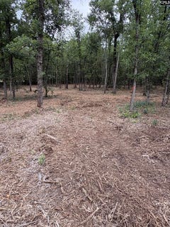 /international/us/lot-2-quattlebaum-drive-leesville-sc-110108386137/