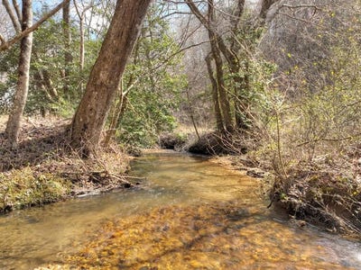 /international/us/5-ac-pack-creek-road-blue-ridge-ga-110097976316/?lang=zh-tw