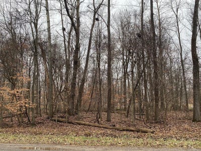 /international/us/7326-state-route-19-mount-gilead-oh-110096639041/