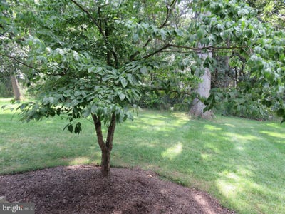 /international/us/509-mews-drive-sellersville-pa-110101224002/