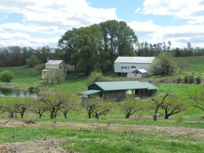 /international/us/171-hallelujah-hill-rd-mt-pleasant-mills-pa-110107572434/