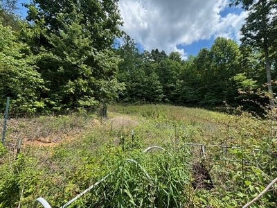 /international/us/590-black-mountain-road-dunlap-tn-110108151994/
