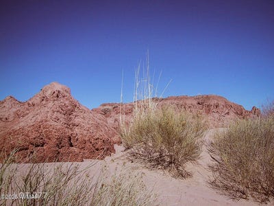 /international/us/lot-277-river-meadows-ranch-concho-az-110094258655/