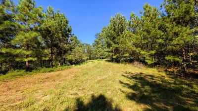 /international/us/van-fossan-east-road-jackson-oh-110110322008/