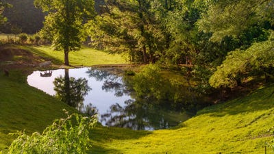 /international/us/310-moore-circle-road-nw-charleston-tn-110101114218/?lang=zh-cn