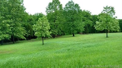 /international/us/460925-e-1146th-road-sallisaw-ok-110108398121/