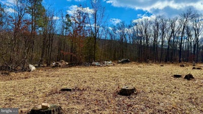 /international/us/lot-39-sparrow-way-augusta-wv-110097917552/?lang=zh-cn