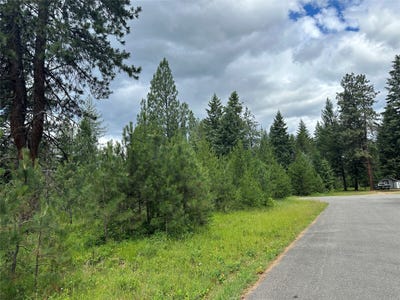 /international/us/nhn-sapphire-lane-lot-13-trout-creek-mt-110100693912/