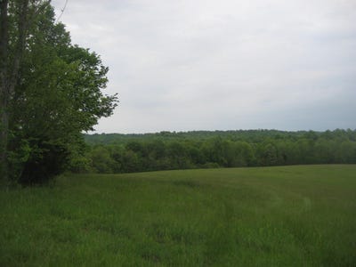 /international/us/005-buckler-lane-olive-hill-ky-110099381012/
