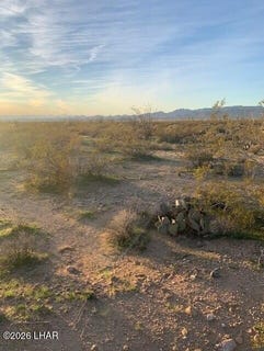 /international/us/cholla-dr-yucca-az-110105032696/