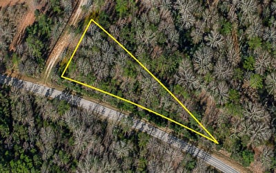 /international/us/w-county-line-rd-hemingway-sc-110120134175/