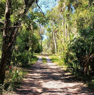 /international/us/9302-w-tall-pines-court-crystal-river-fl-110109032837/
