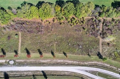 /international/us/24555-murray-lot-c-drive-ray-twp-mi-110102659843/