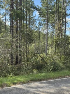 /international/us/00-lot-e-progress-silver-run-road-poplarville-ms-110120423625/