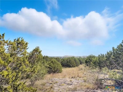 /international/us/pr-42110-lot-2-evant-tx-110102625154/