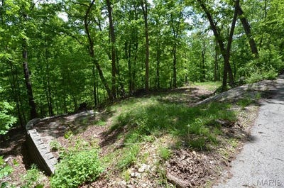 /international/us/1730-chimney-top-farms-rd-road-eureka-mo-110099333668/