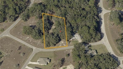 /international/us/malauka-run-lot-3-court-ocklawaha-fl-110108106194/