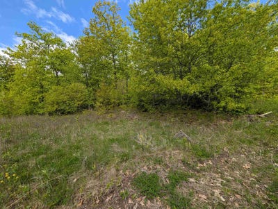/international/us/lot-7-acorn-ridge-estates-subdivision-mosinee-wi-110099670821/