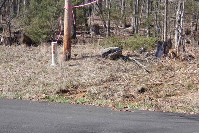 /international/us/00-alford-bull-shoals-ar-110083402446/