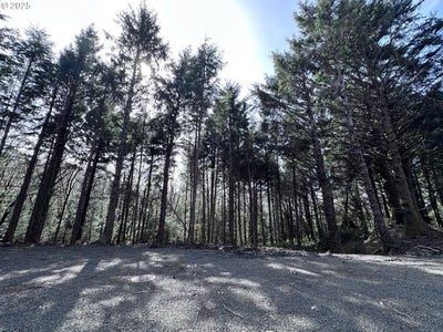 /international/us/greenleaf-road-archcape-or-110103268947/