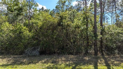 /international/us/00-ne-108th-place-waldo-fl-110098673329/