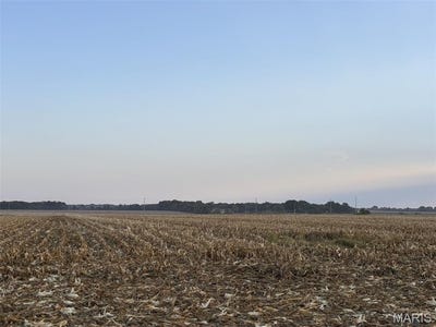 /international/us/24-acres-ac-state-hwy-aa-wright-city-mo-110101055451/