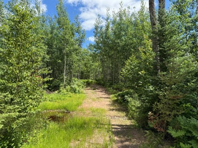 /international/us/lot-4-grundy-rd-wi-110101003991/