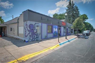 /international/us/220-ashland-street-s-cambridge-mn-110104488734/
