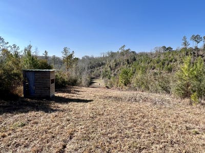 /international/us/0-county-road-63-valley-grande-al-110090437729/?lang=zh-cn