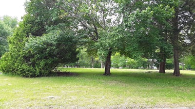 /international/us/3xx-3rd-street-nw-forest-lake-mn-110105201737/