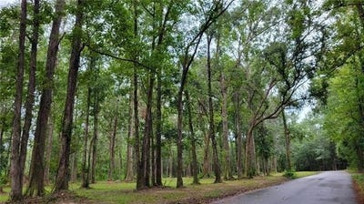 /international/us/milton-craddock-road-lot-0-pearl-river-la-110102390984/