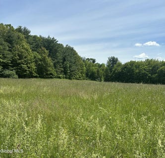 /international/us/171-orchard-road-columbia-ny-110108685761/