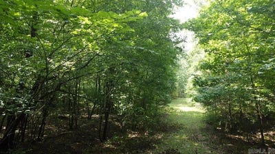 /international/us/markerville-road-story-ar-110098248515/