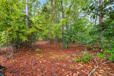 /international/us/200-leonard-circle-camden-sc-110120150987/