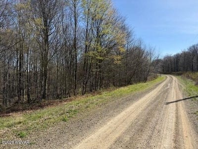 /international/us/parc-031-glory-ridge-road-shunk-pa-110107658222/