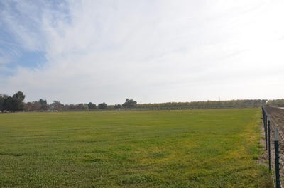 /international/us/13401-ave-328-lot-2-visalia-ca-110073064073/