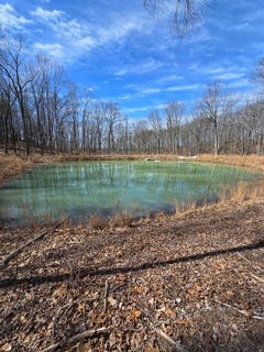 /international/us/464-moonlight-lane-jasper-tn-110099666907/