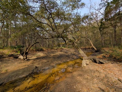 /international/us/245-warren-drive-mcclellanville-sc-110106499066/