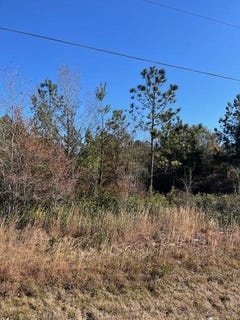 /international/us/locklier-drive-homerville-ga-110097066247/