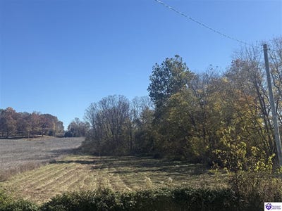 /international/us/lot-4-highway-60-guston-ky-110103378244/