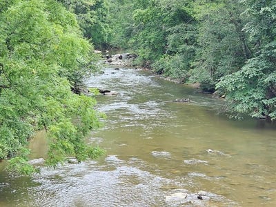 /international/us/1101-chestnut-falls-ln-galax-va-110101398652/?lang=en