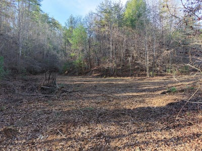 /international/us/bakers-creek-road-old-fort-tn-110104197789/