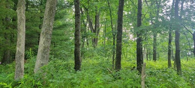 /international/us/2978-6th-avenue-grand-marsh-wi-110119424120/