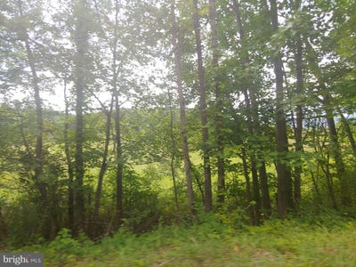 /international/us/bear-hill-road-oldtown-md-110100428157/