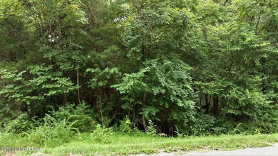 /international/us/2540-jim-clark-rd-new-haven-ky-110109758372/