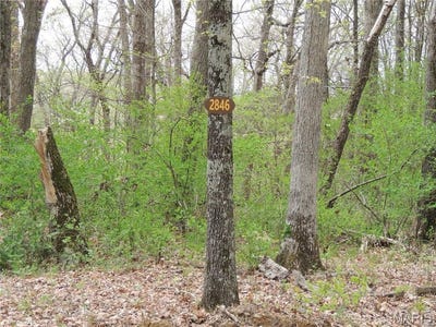 /international/us/2846-tyrolean-way-drive-innsbrook-mo-110098659002/