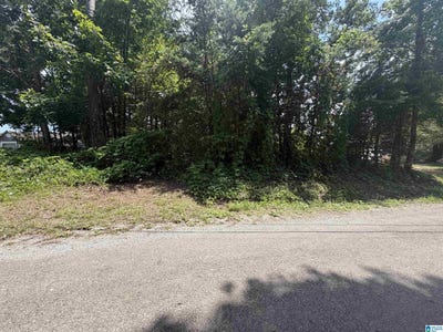 /international/us/holiday-drive-lot-6-oneonta-al-110109002166/