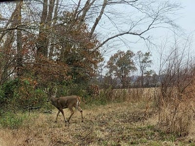 /international/us/457-county-road-1300n-enfield-il-110105873337/