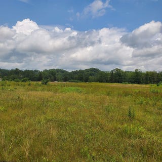 /international/us/plantation-drive-elkins-wv-110101047309/